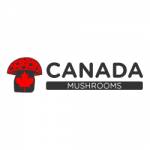 canada mushrooms Profile Picture