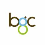 BGC Group Hong Kong Profile Picture