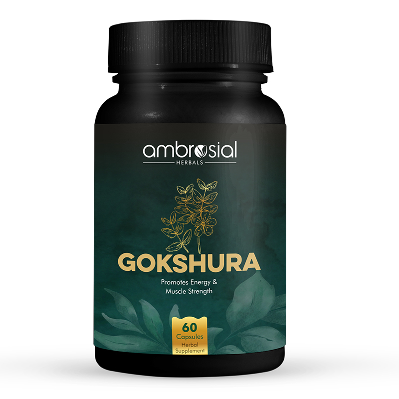 Buy Ambrosial Gokshura 60 Capsules | Tribulus Terrestris