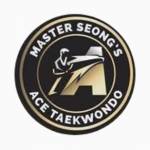 Master Seongs Ace Taekwondo Profile Picture