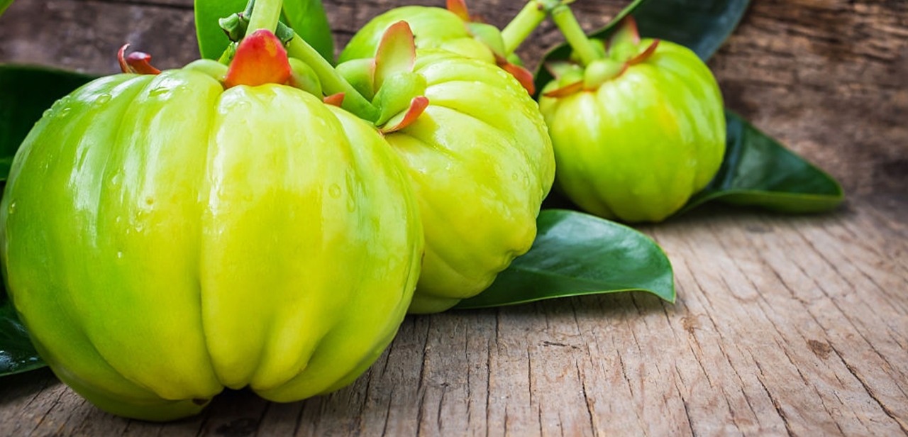 Garcinia Cambogia – The Magic Weight Loss Fruit | Ambrosial Nutrifood™