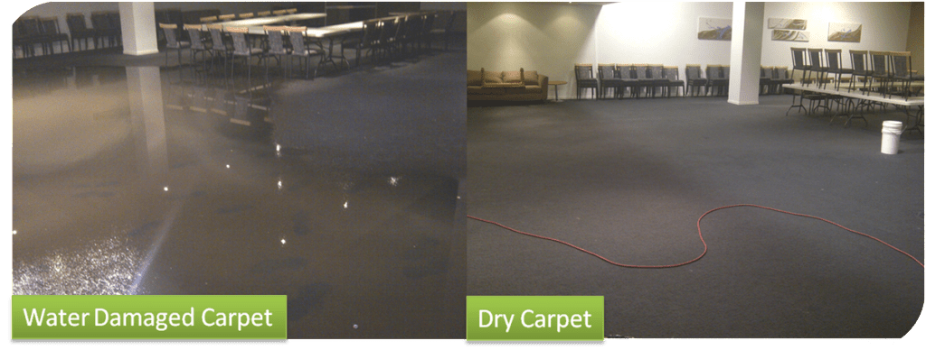 Wet Carpet Drying Melbourne | Flood Damaged Carpet | Flooded Carpet