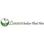 Best Indoor Plants Melbourne Luwasa Plant Hire Profile Picture