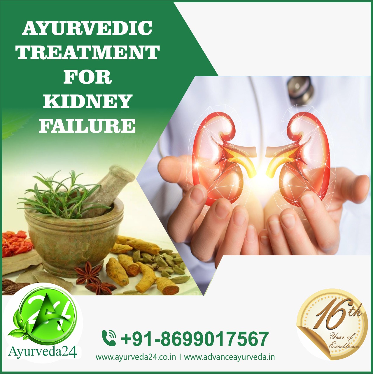 Ayurvedic Treatment For Kidney Failure | Ayurvedic Treatment for Heart Disease