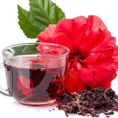 Hibiscus Heaven Tea Bags Organic Profile Picture