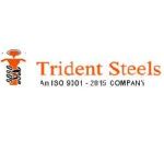 Trident Investment Castings Profile Picture