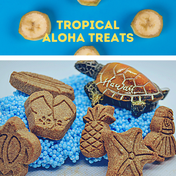 Tropical Aloha Treats - Pick N' Pack