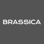 Brassica Profile Picture