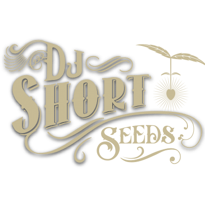 DJ Short Seeds, Old World Genetics, DJ Genetics