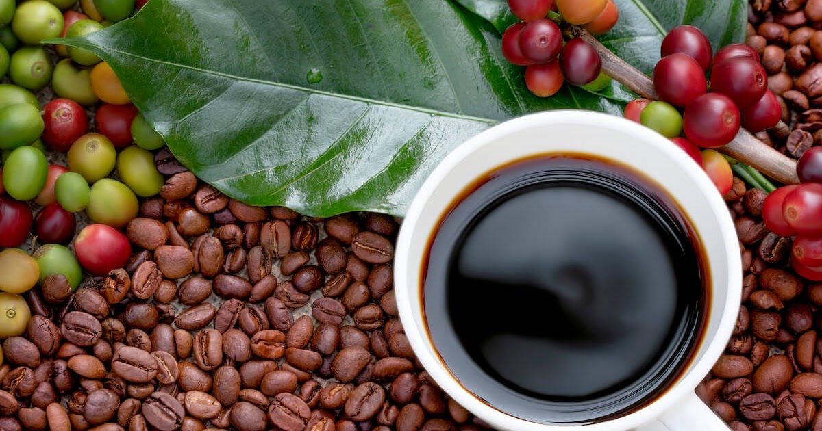 Things You Should Keep in Mind When Buying Coffee Beans