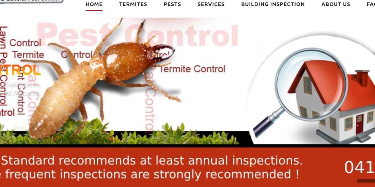 Termite Inspection and Control Melbourne – M&R Termite Solutions