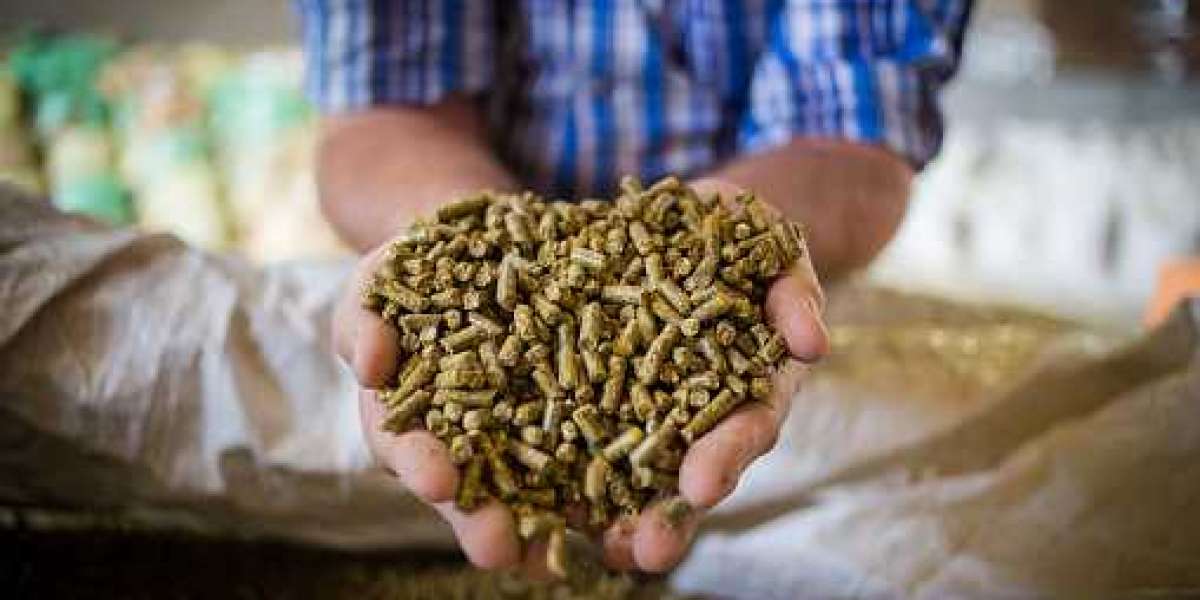 Cattle Feed Market Trends is Projected to Increase by 7.36% CAGR During 2022 – 2030