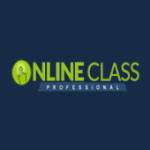 Online Class Professionals Profile Picture