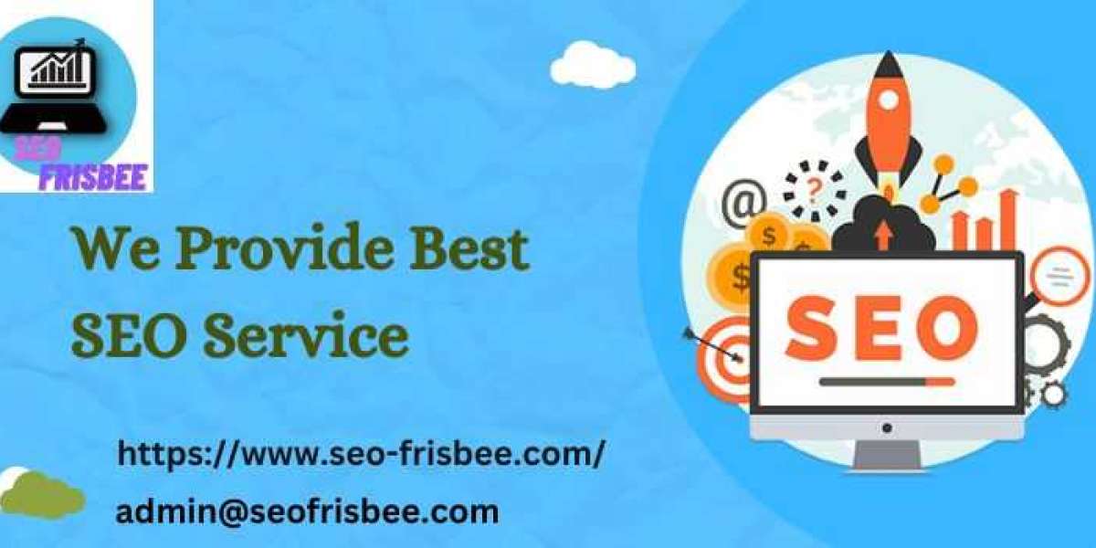 SEO Frisbee | The Digital Marketing Agency in Delhi NCR |India
