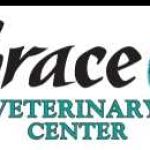 Grace Veterinary Center Profile Picture