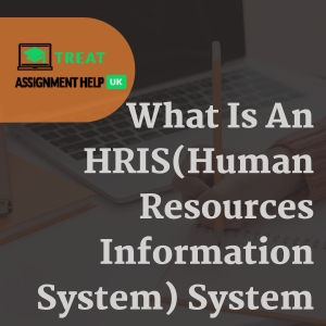 What Is An HRIS(Human Resources Information System) System