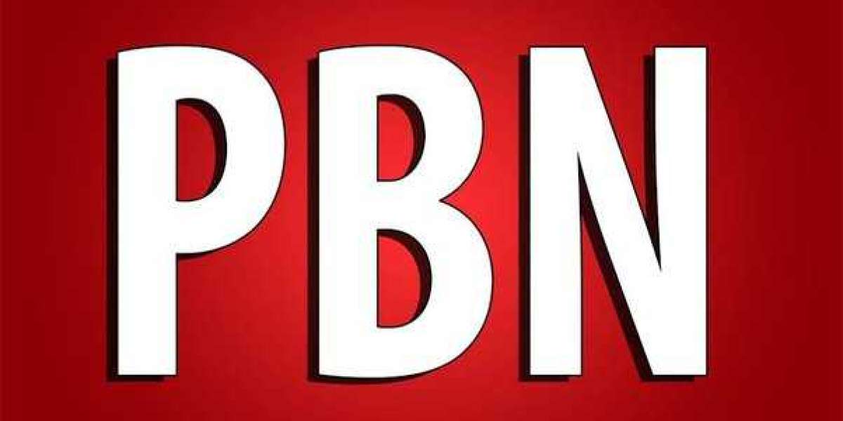 The Power of PBN Backlinks: Why You Should Buy Them Now