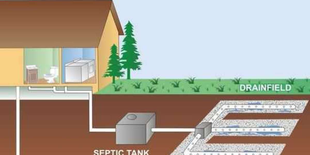 Maximizing the Lifespan of Your Septic System
