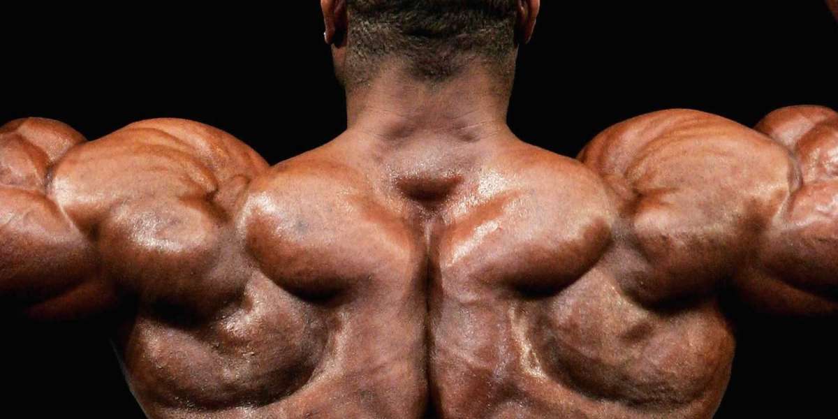 Get the Best Results with Boldenone Undecylenate 500mg: The Ultimate Guide