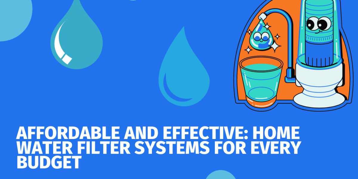 Affordable and Effective: Home Water Filter Systems for Every Budget