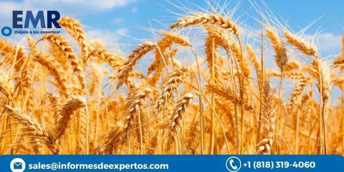 Global Wheat Market Price, Share, Size 2023-2028