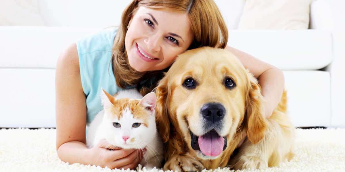 BookMyPet: Your One-Stop Shop for Cat Boarding, Dog Grooming, and Vets in Dubai