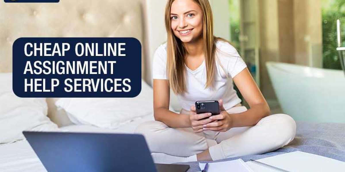 How to Choose the Best Assignment Help Service in Ireland