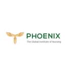 Phoenix_Nursing Institute Profile Picture