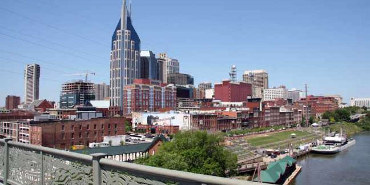 Travel with Kids: Tips for Nashville Trip