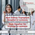 best urology hospital in Lucknow - Precision Urology Hospital Profile Picture