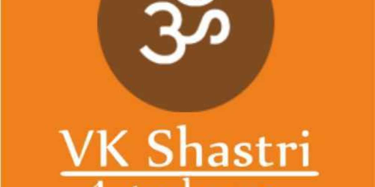 Best Astrologer  Vikash Shastri Acharya