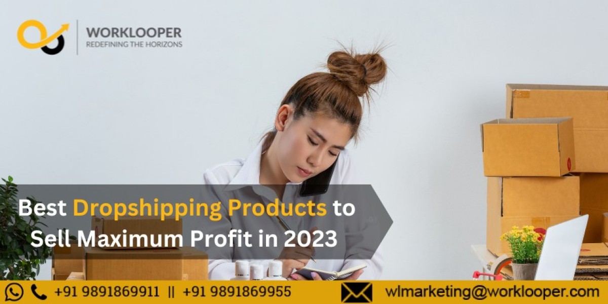 Best Dropshipping Products to Sell Maximum Profit in 2023