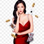casinosite24 com Profile Picture