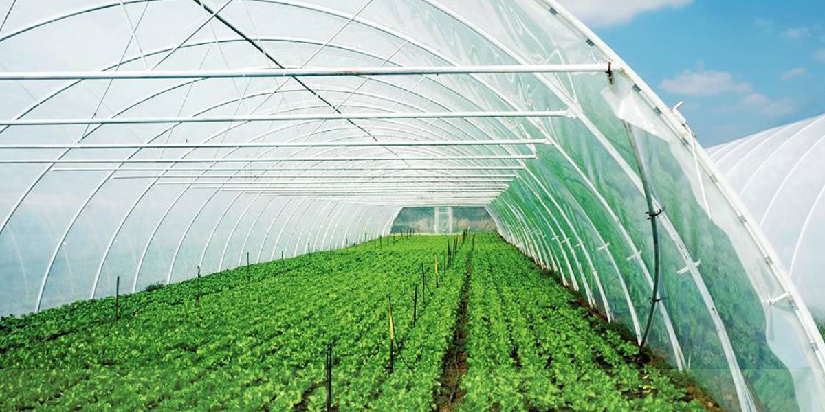 Agricultural Films Market To Witness Remarkable Growth Owing To The High Yield Produce Facilitated By The Films