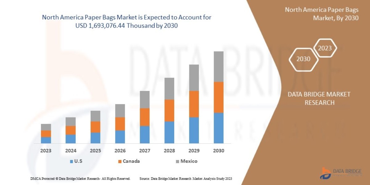 Exploring the North America Paper Bags Market: Market Segmentation and Industry Evolution