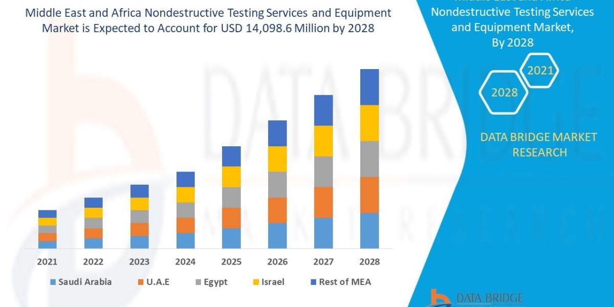 Middle East and Africa Nondestructive Testing Services and Equipment Market Share, Demand, Top Players, Industry Size, R