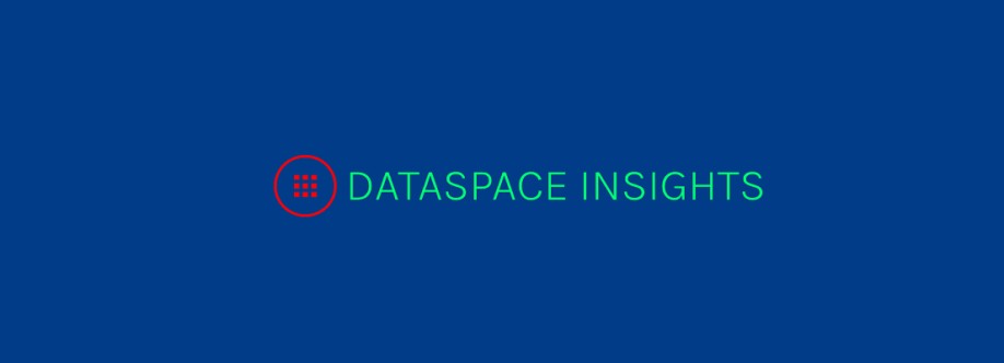 Dataspace Insights Cover Image