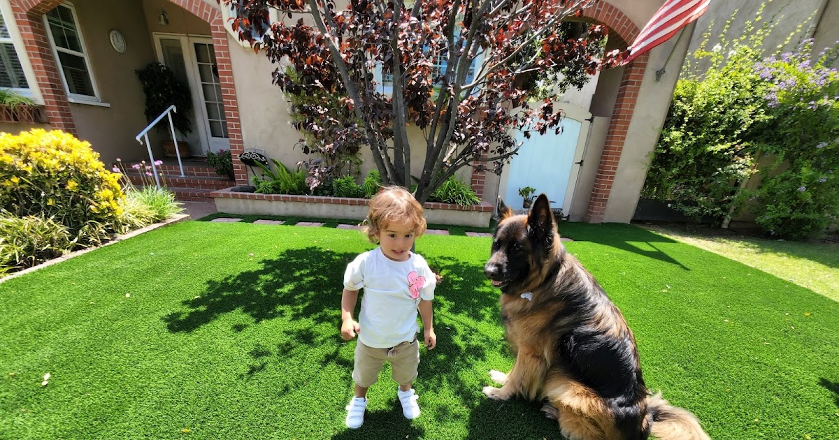 US Family Turf: A Step-by-Step Guide on Installing Artificial Dog Turf