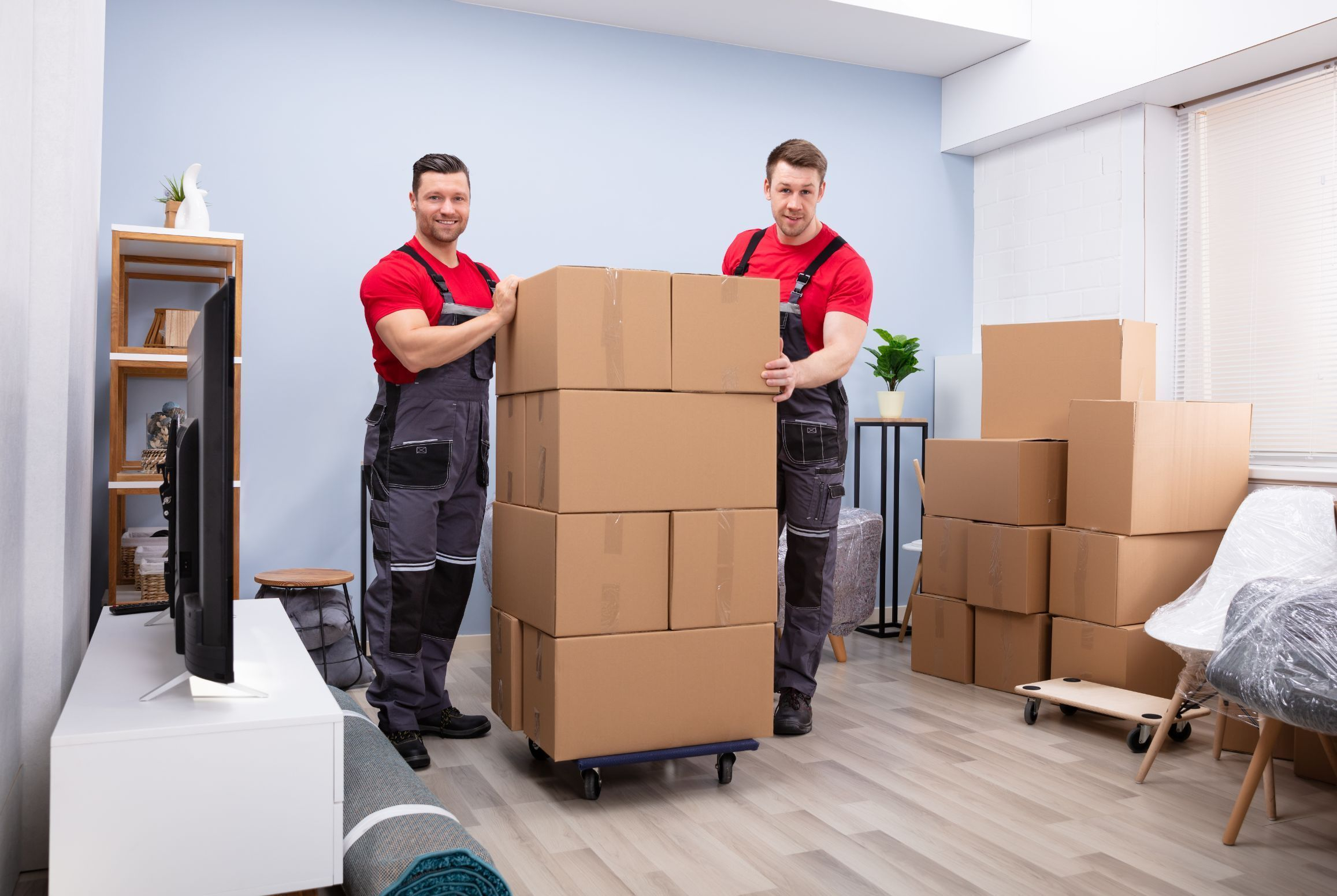 Packers vs. Movers: A Comparative Analysis of their Expertise – Best Bet Movers