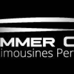 hummer city Profile Picture