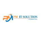 PM IT Solution Profile Picture