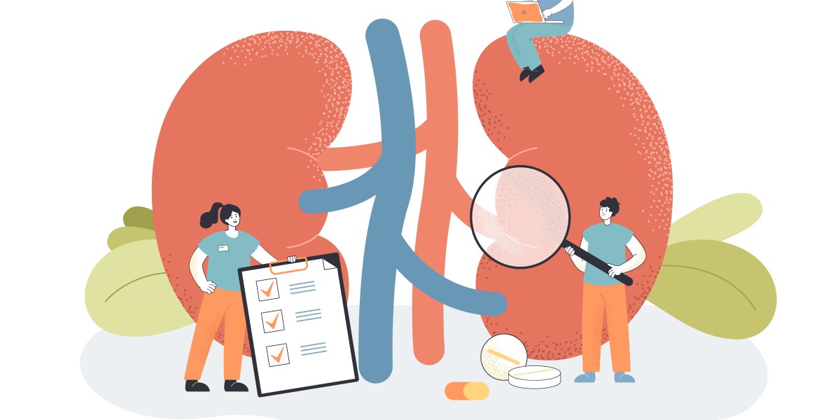 Optimize Kidney Health With Kidney Function Test in Ghaziabad