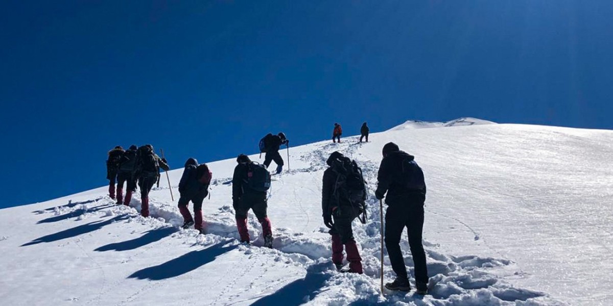 Himalayan Bliss: Exploring Chopta's Majestic Trails