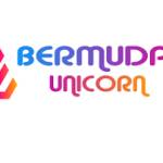 Bermuda Unicorn Profile Picture