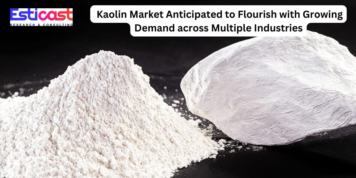 Kaolin Market Anticipated to Flourish with Growing Demand across Multiple Industries