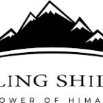healing shilajit profile picture