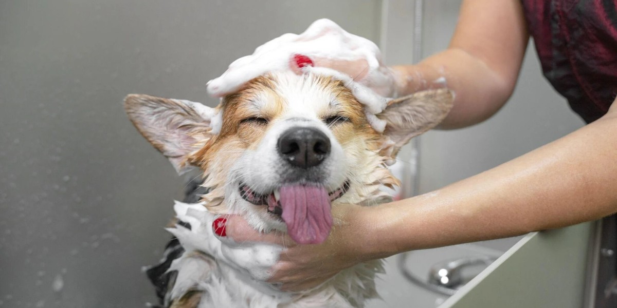 The Art and Importance of Pet Grooming