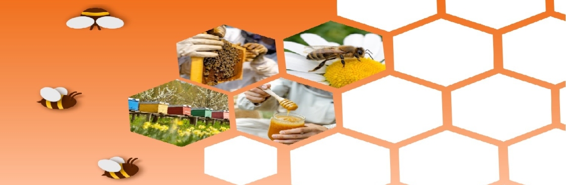 Aravali Honey Cover Image