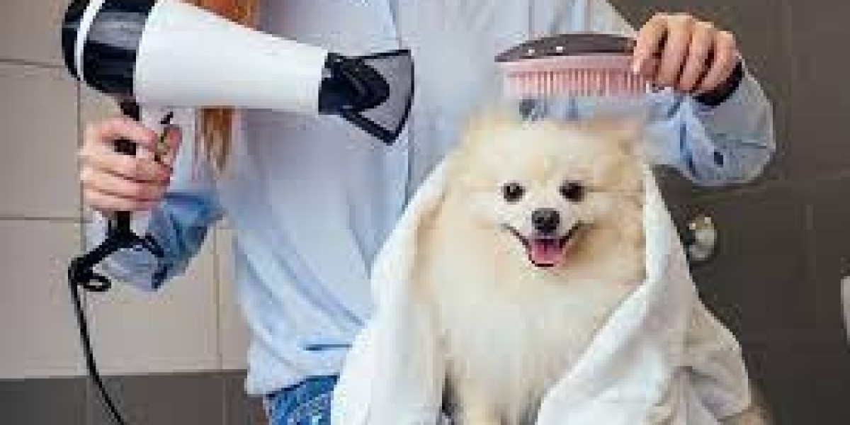 "Dubai's Pet Grooming Revolution: Home Services for Happy Pets"