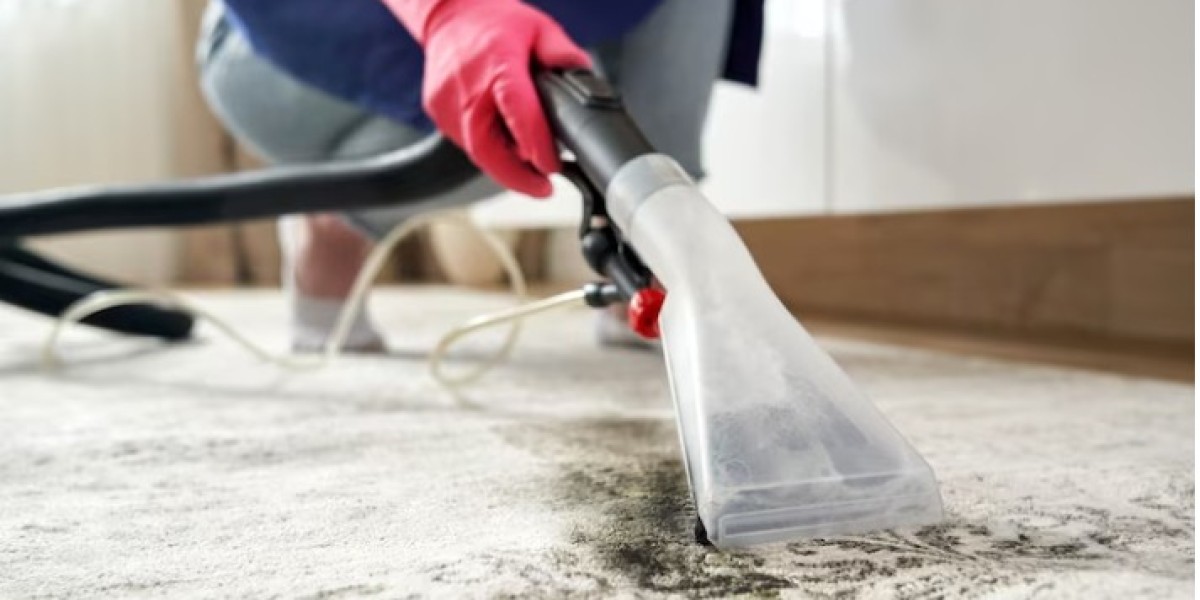 Carpet Cleaning Service Los Angeles: Hygiene Aesthetics of Home